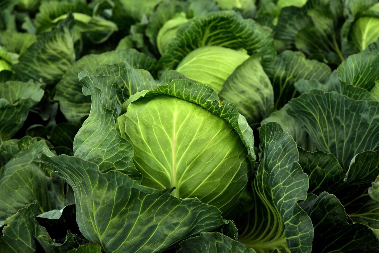 Pokojná rieka v smaragdovej krajine